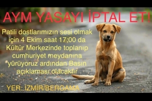 4 Ekim'de Bergamada Yürüyüşümüze Davetlisiniz