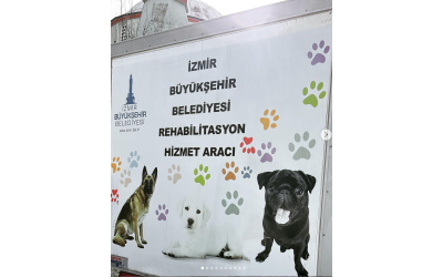 Bölgemizde Kısırlaştıma ve Aşılama Faaliyetleri Başladı