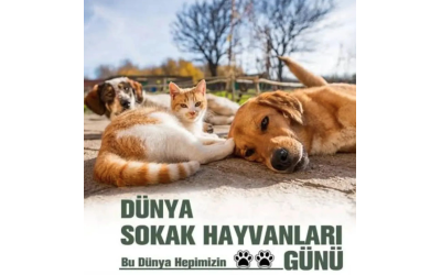 Dünya Sokak Hayvanları Günü Kutlu Olsun...