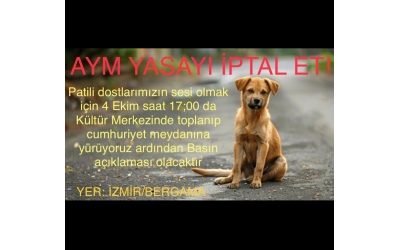 4 Ekim'de Bergamada Yürüyüşümüze Davetlisiniz