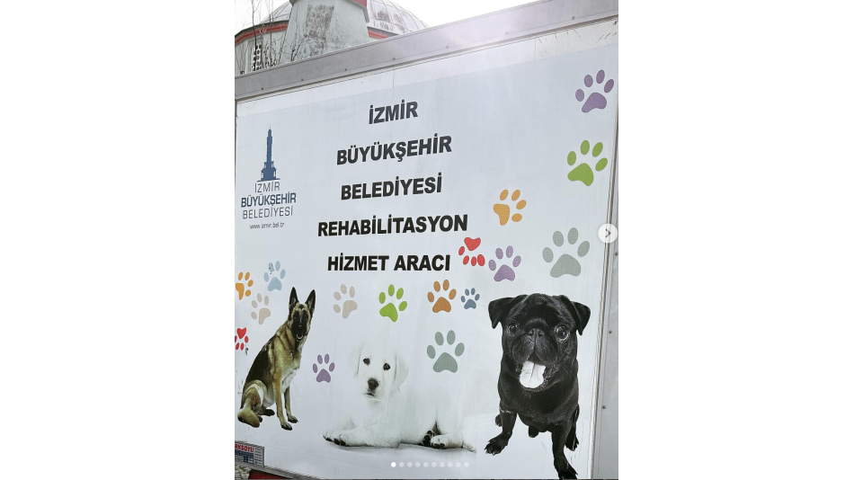 Bölgemizde Kısırlaştıma ve Aşılama Faaliyetleri Başladı