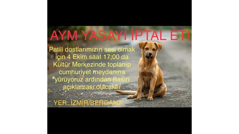 4 Ekim'de Bergamada Yürüyüşümüze Davetlisiniz