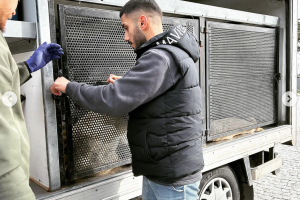 Bölgemizde Kısırlaştıma ve Aşılama Faaliyetleri Başladı