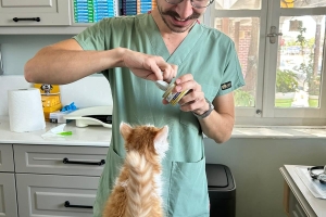 Patikanın Patileri