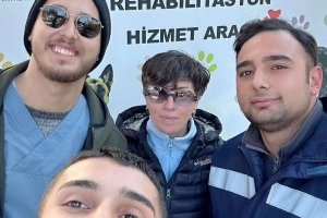 Kısırlaştırma Faaliyetleri