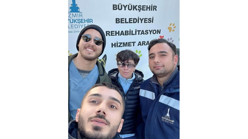 Kısırlaştırma Faaliyetleri